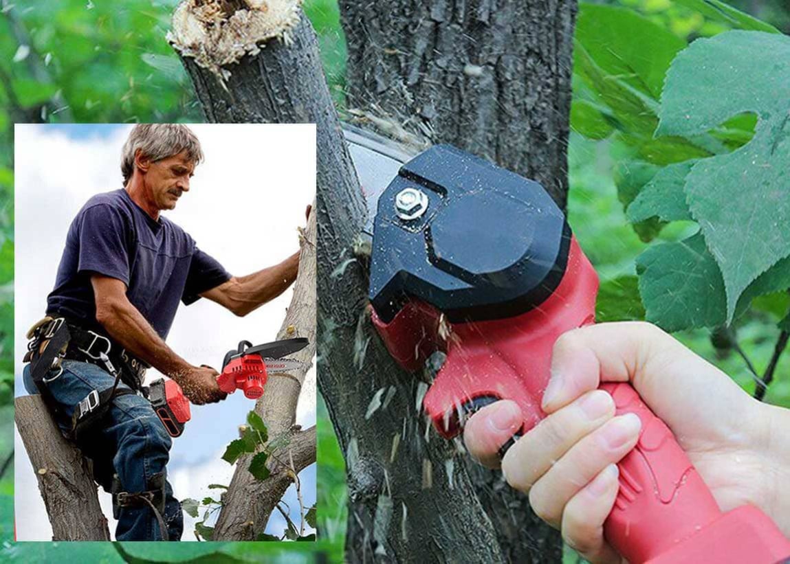 Wood Ranger Mini Chainsaw order now